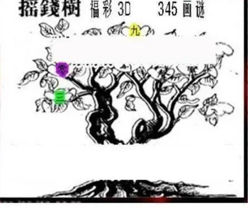 25345期: 三毛3D精品图谜