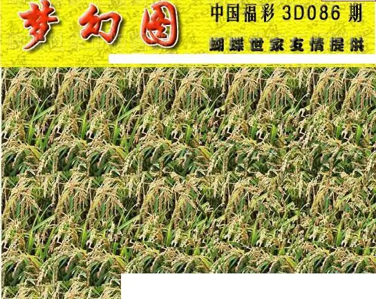 25086期: 3D蝴蝶世家蝴蝶彩图