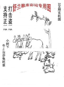 25324期: 老村长福彩3D天天图谜