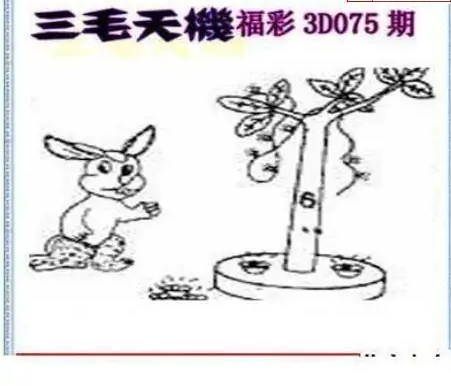 25075期: 三毛3D精品图谜