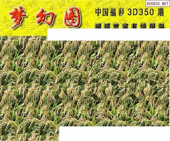 25350期: 3D蝴蝶世家蝴蝶彩图