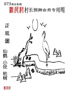 26073期: 老村长福彩3D天天图谜