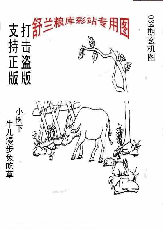 25034期: 老村长福彩3D天天图谜