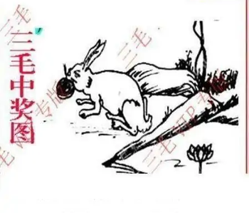 25323期: 三毛3D精品图谜