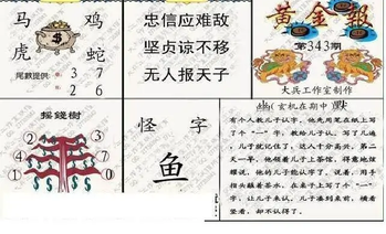 25343期: 大兵福彩3D黄金报图版