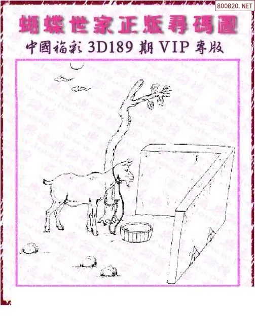 25189期: 3D蝴蝶世家蝴蝶彩图