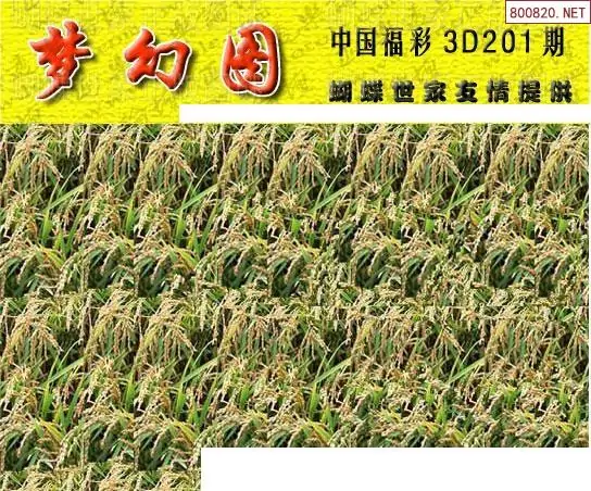 25201期: 3D蝴蝶世家蝴蝶彩图