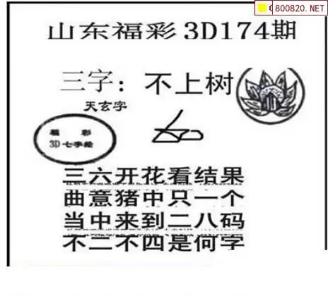 25174期: 三毛3D精品图谜