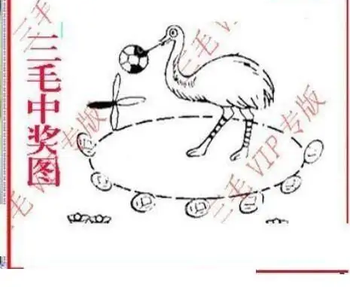 25332期: 三毛3D精品图谜