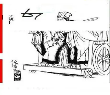 25313期: 三毛3D精品图谜