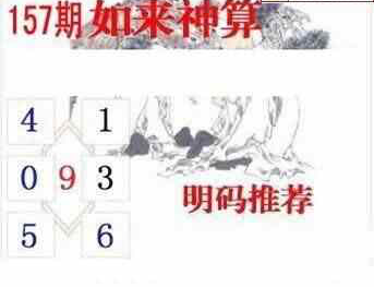 24157期: 白老3D杀码图版