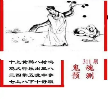 25311期: 三毛3D精品图谜