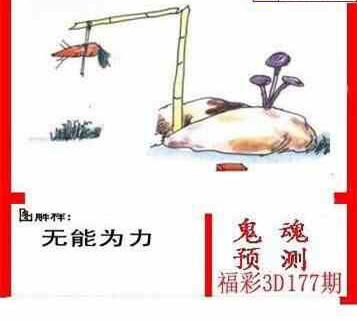 24177期: 白老3D杀码图版