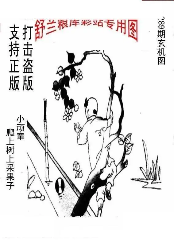 25289期: 老村长福彩3D天天图谜