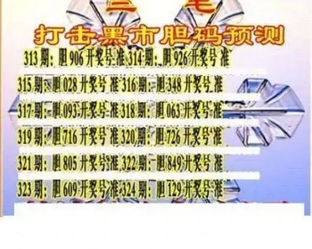 25324期: 三毛3D精品图谜