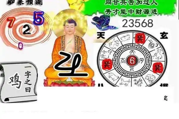 25323期: 白老3D杀码图版