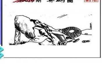 26016期: 三毛3D精品图谜