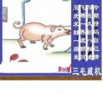 26090期: 三毛3D精品图谜