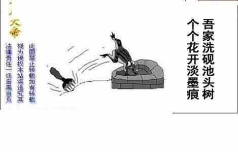 24115期: 白老3D杀码图版