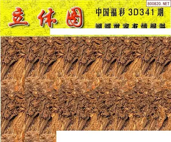 25341期: 3D蝴蝶世家蝴蝶彩图