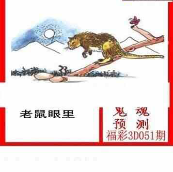 25051期: 白老3D杀码图版