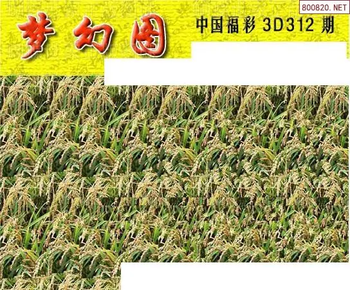 25312期: 3D蝴蝶世家蝴蝶彩图