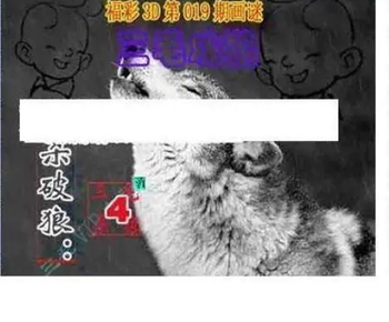 26019期: 三毛3D精品图谜