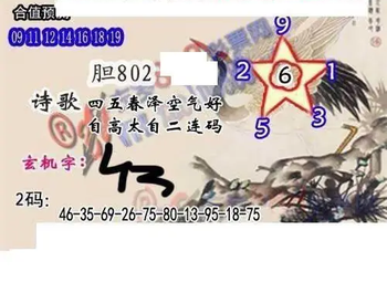 26106期: 白老3D杀码图版