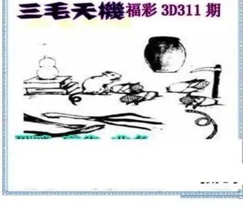 25311期: 三毛3D精品图谜