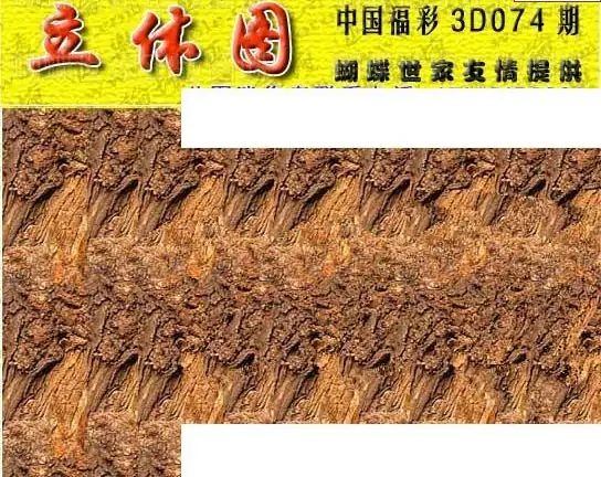 25074期: 3D蝴蝶世家蝴蝶彩图