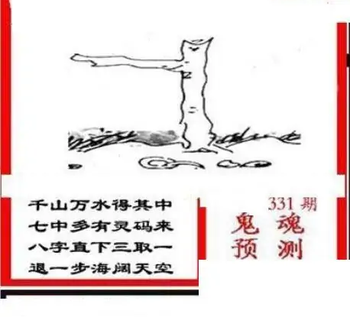 25331期: 三毛3D精品图谜