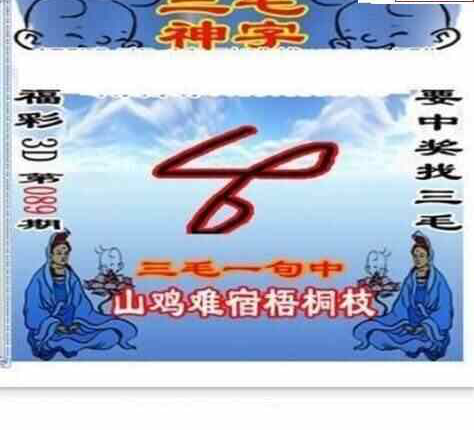 24089期: 三毛3D精品图谜