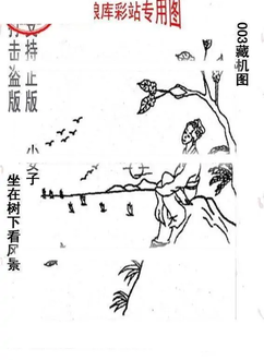 26003期: 老村长福彩3D天天图谜