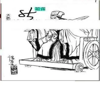 25351期: 三毛3D精品图谜