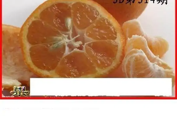 25314期: 白老3D杀码图版