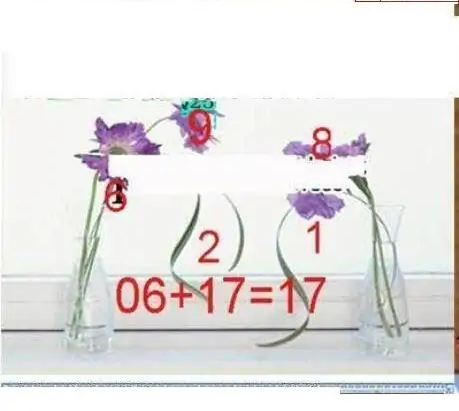 25307期: 三毛3D精品图谜