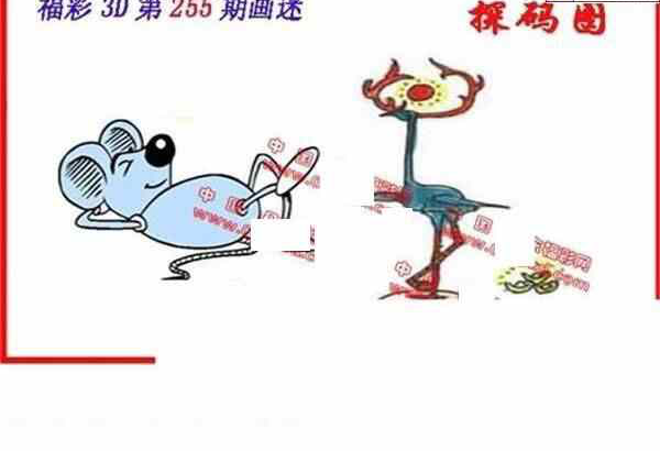 24255期: 福彩3D丹东全图分析