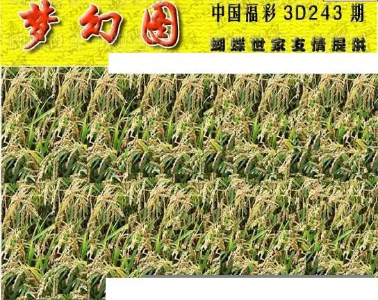 25243期: 3D蝴蝶世家蝴蝶彩图