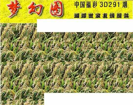 24291期: 3D蝴蝶世家蝴蝶彩图