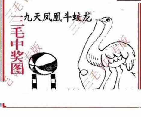 24095期: 三毛3D精品图谜