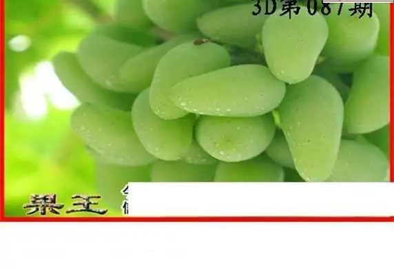 25087期: 白老3D杀码图版