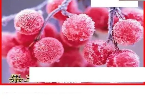 25068期: 白老3D杀码图版