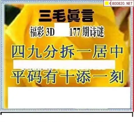 25177期: 三毛3D精品图谜