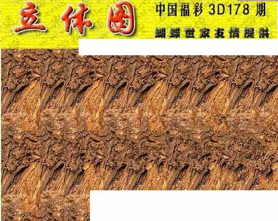 24178期: 3D蝴蝶世家蝴蝶彩图