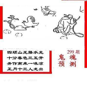 24299期: 三毛3D精品图谜