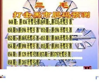 26058期: 三毛3D精品图谜