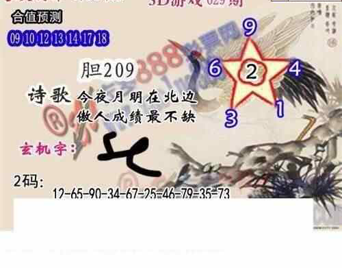 25029期: 白老3D杀码图版