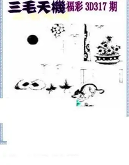 25317期: 三毛3D精品图谜