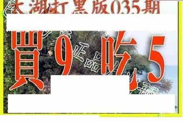 25035期: 太湖图福彩3D精品预测