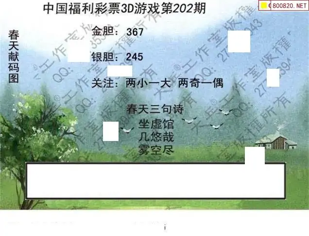25202期: 大兵福彩3D黄金报图版